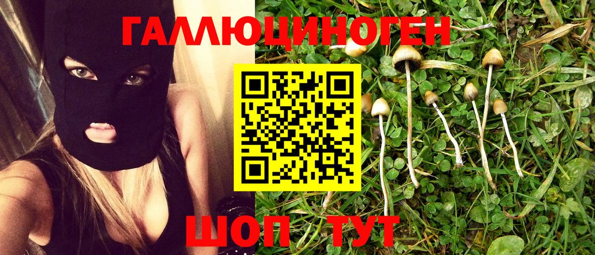Галлюциногенные грибы MAGIC MUSHROOMS  Вход с VPN  Куйбышев 